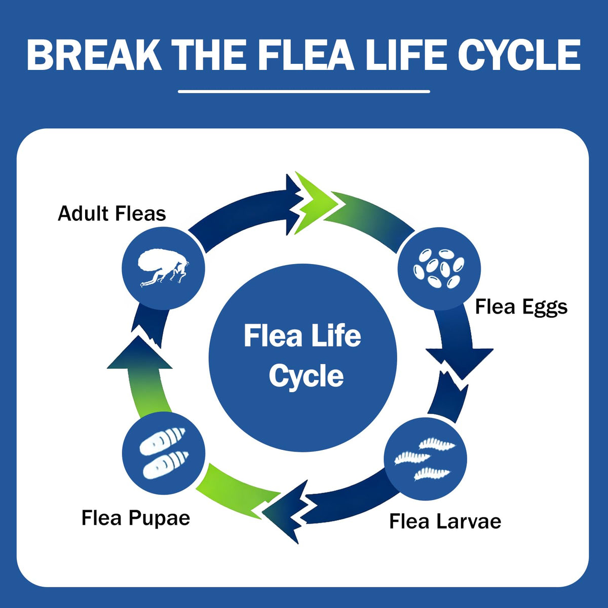 Flea and Tick Prevention for Small and Medium Dogs B663