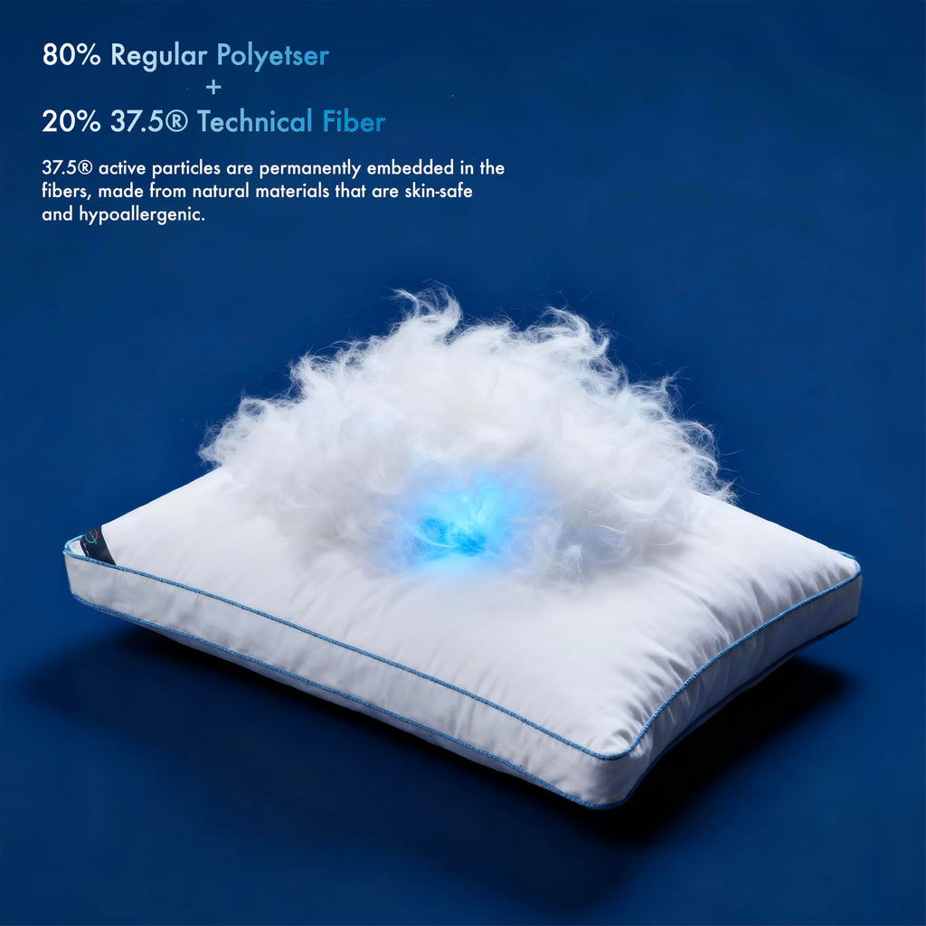 Temperature Regulating King Size Down Alternative Pillow with 2” Gusset B302755