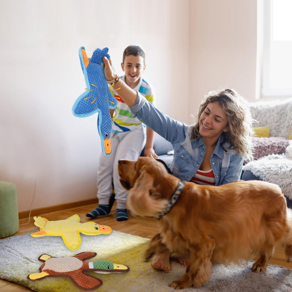 3-Pack No-Stuffing Squeaky Crinkle Dog Chew Toy W363