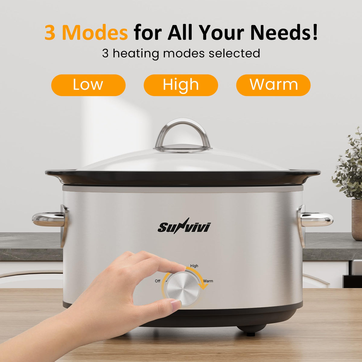 Small 4QT Slow Cooker with Ceramic Pot L40866