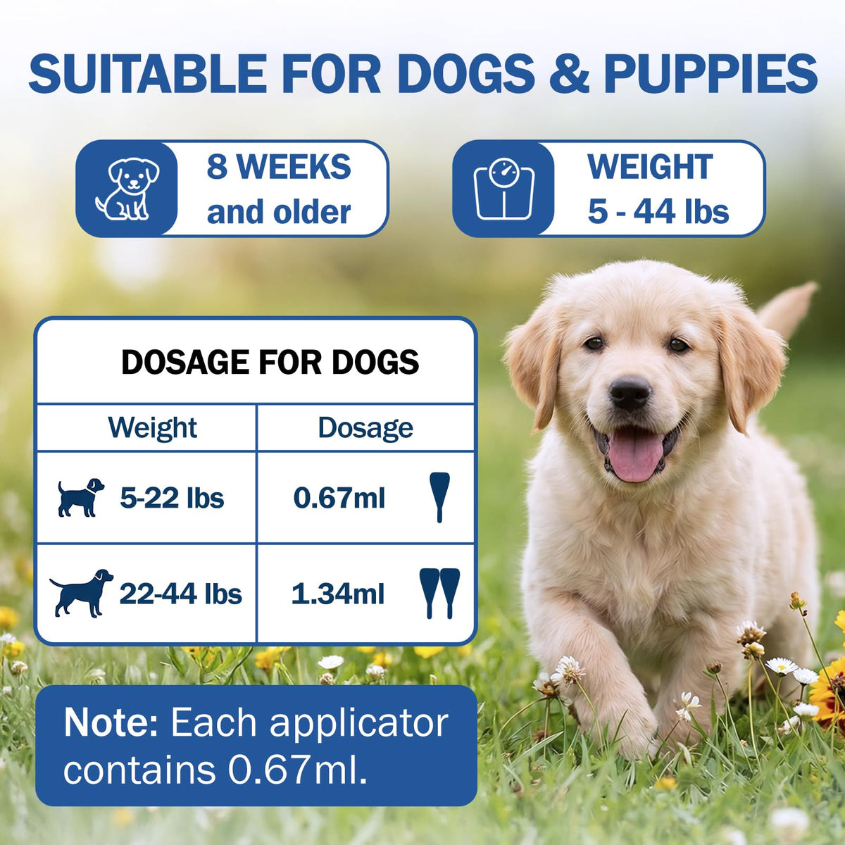Flea and Tick Prevention for Small and Medium Dogs B663