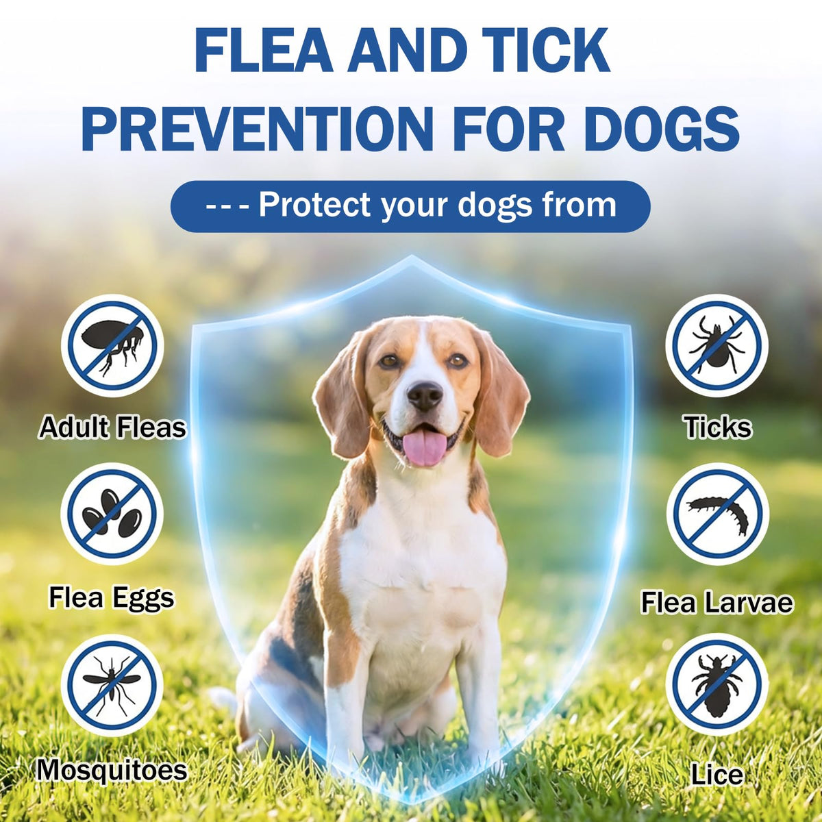 Flea and Tick Prevention for Small and Medium Dogs B663
