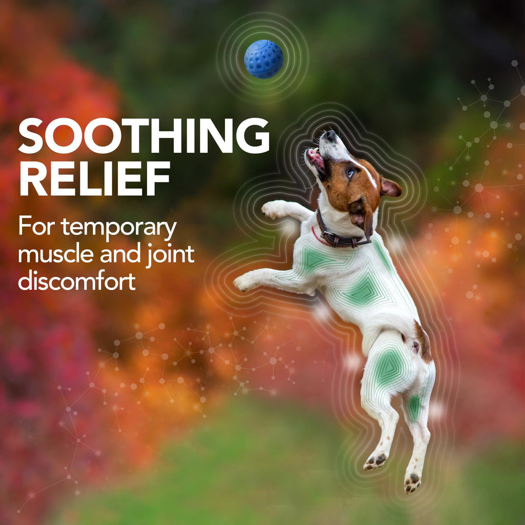 Dog Hip & Joint Support Tablets 150 Count Pack of 2 E5971