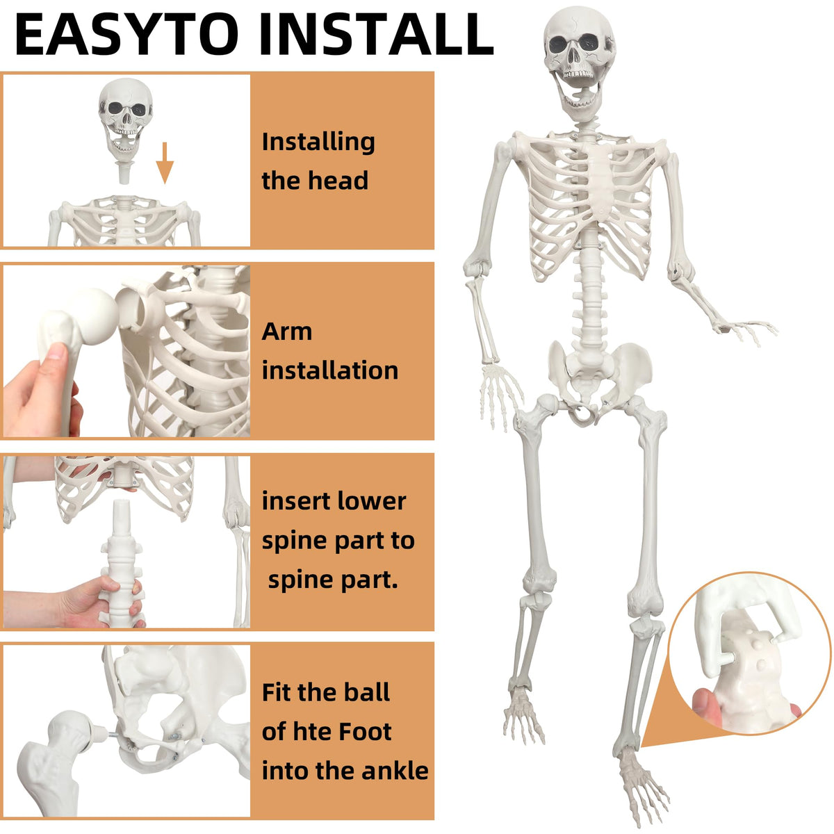 2 Pack 5.4ft Life Size Skeleton with Movable Joints C935915
