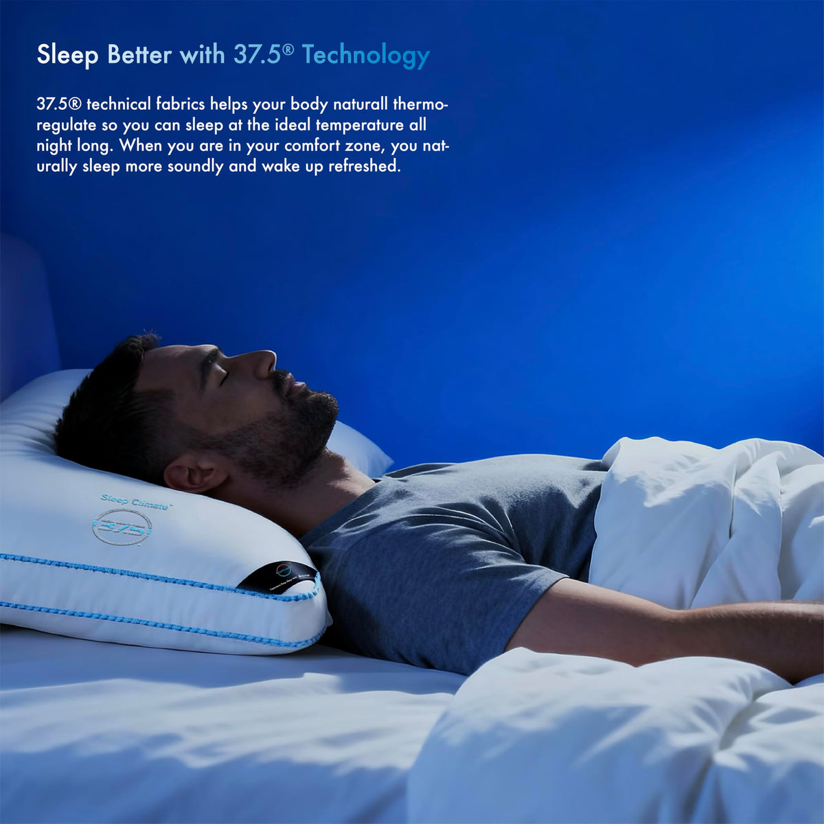 Temperature Regulating King Size Down Alternative Pillow with 2” Gusset B302755