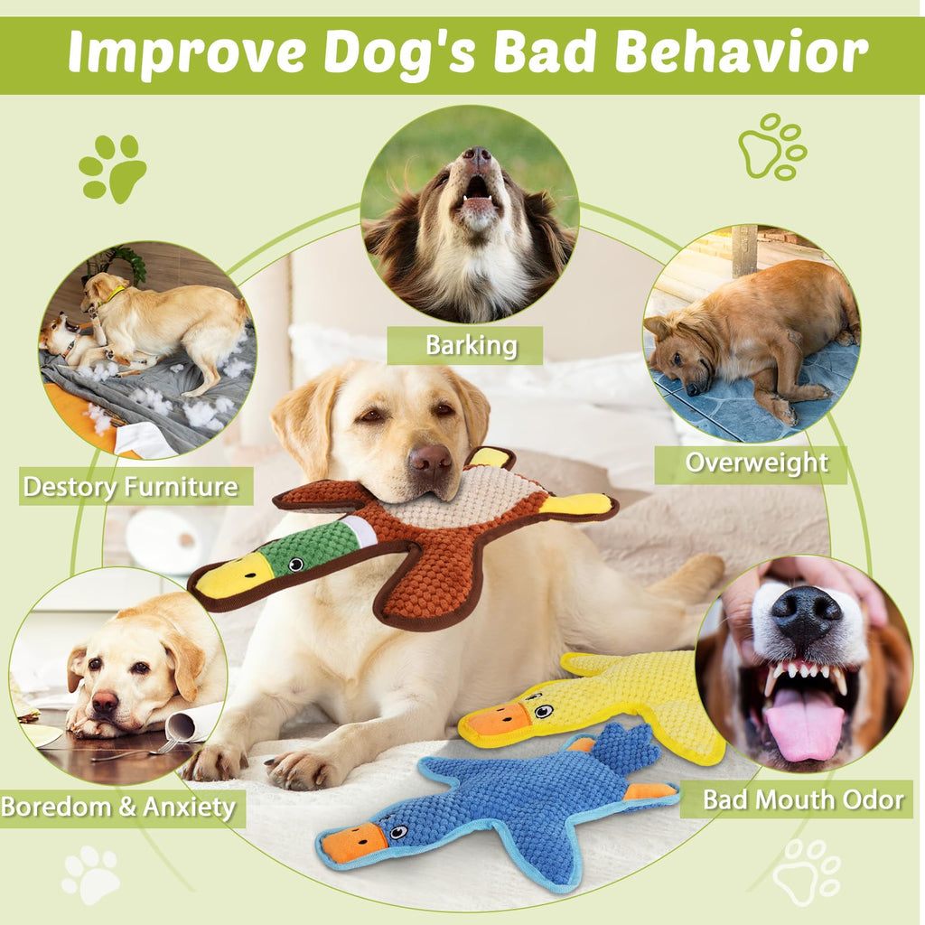 3-Pack No-Stuffing Squeaky Crinkle Dog Chew Toy W363
