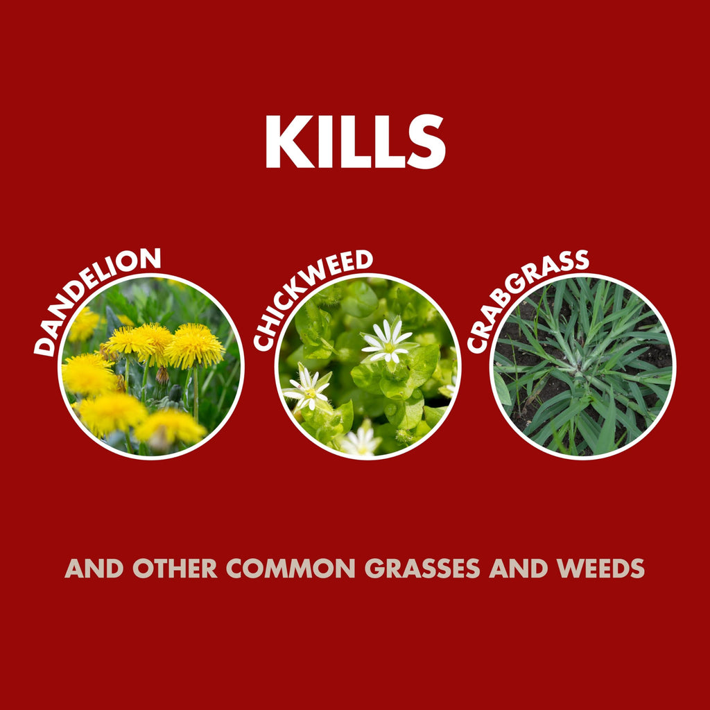 Weed & Grass Killer 1.33 Gal T16306