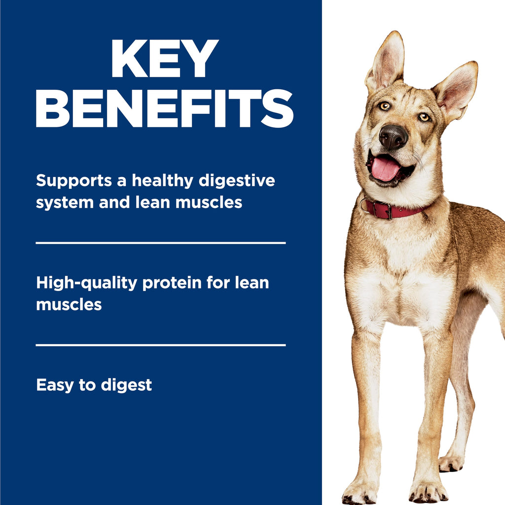 Wet Dog Food B77204
