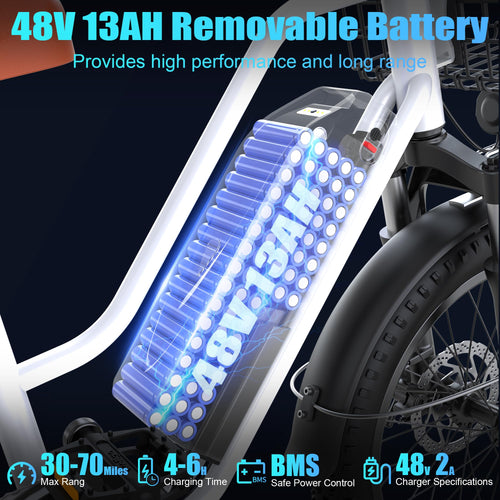 1000W 48V 13Ah Electric Bicycle with Rear Seat and Front Basket W176242