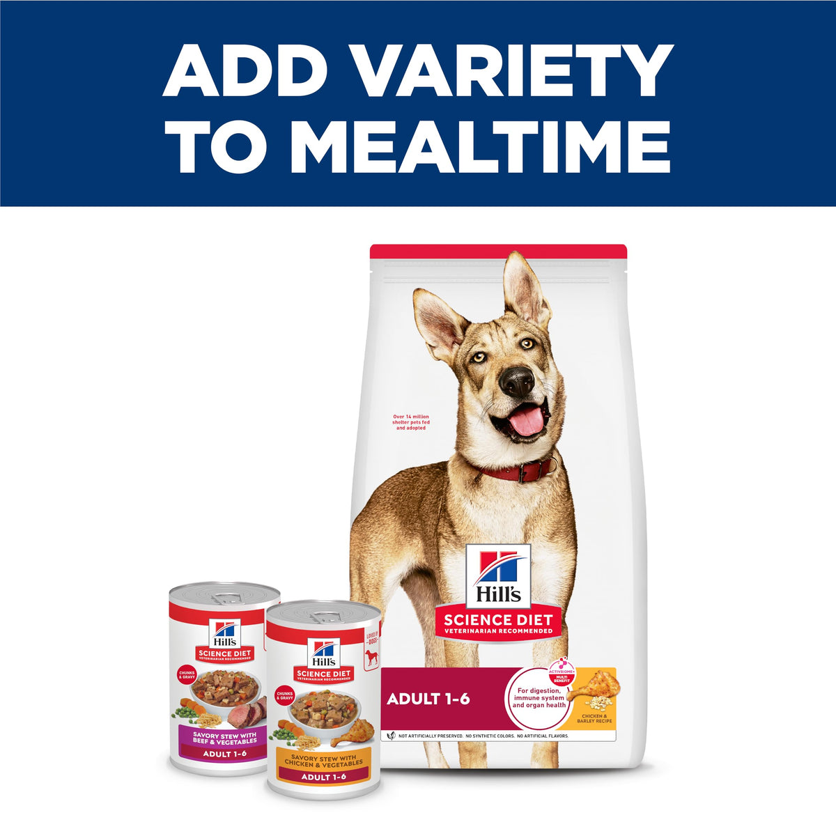 Wet Dog Food B77204
