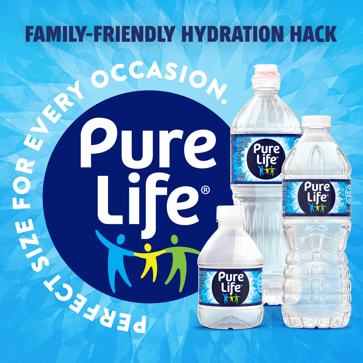 Purified Bottled Water 16.9 oz Case of 24 A55947