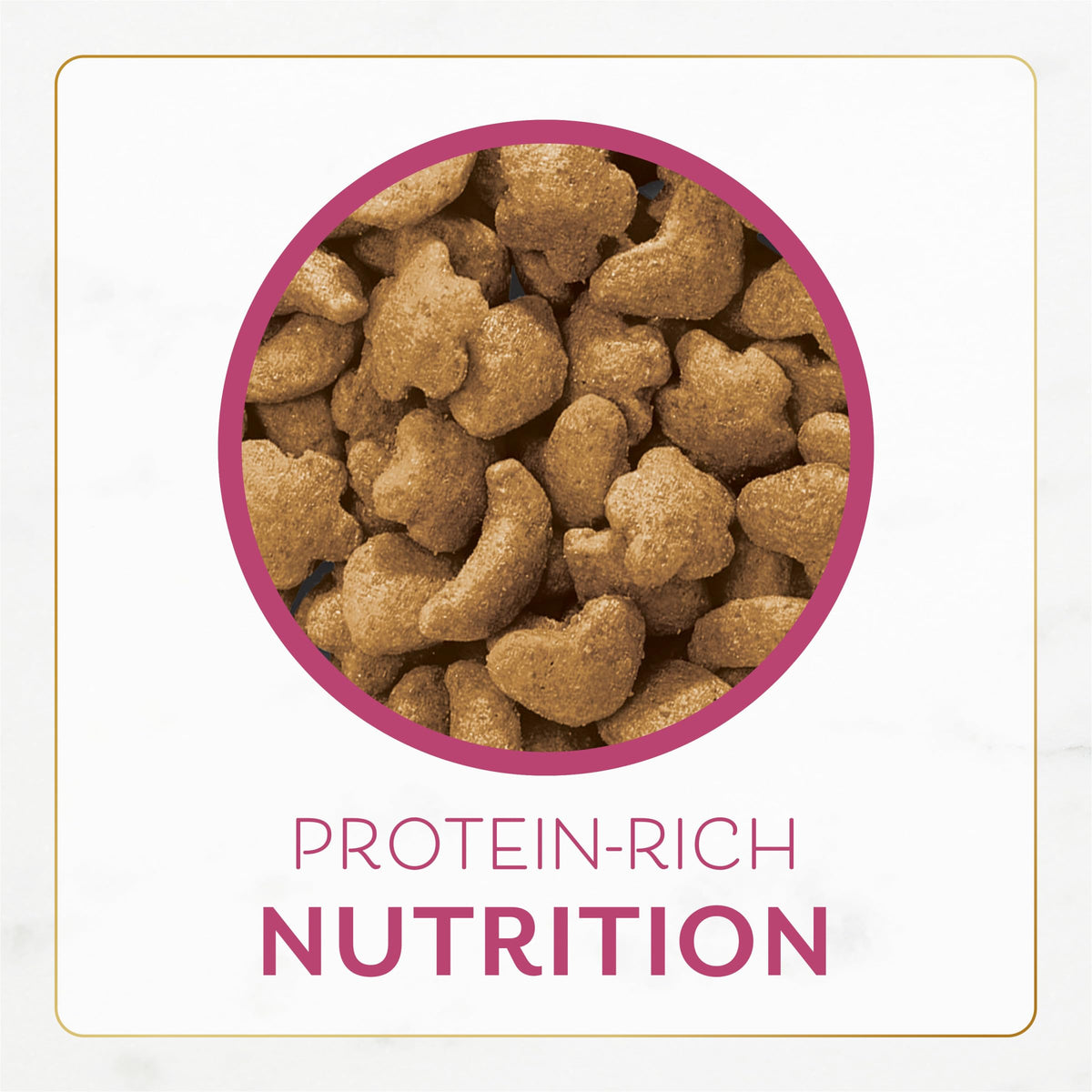 Dry Cat Food Filet Mignon Flavor 3 lb. Bag C73424