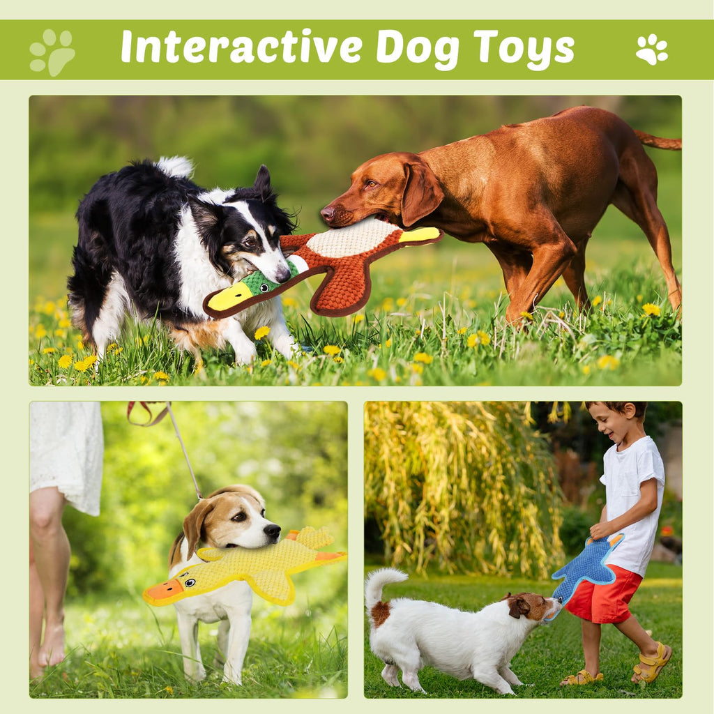 3-Pack No-Stuffing Squeaky Crinkle Dog Chew Toy W363