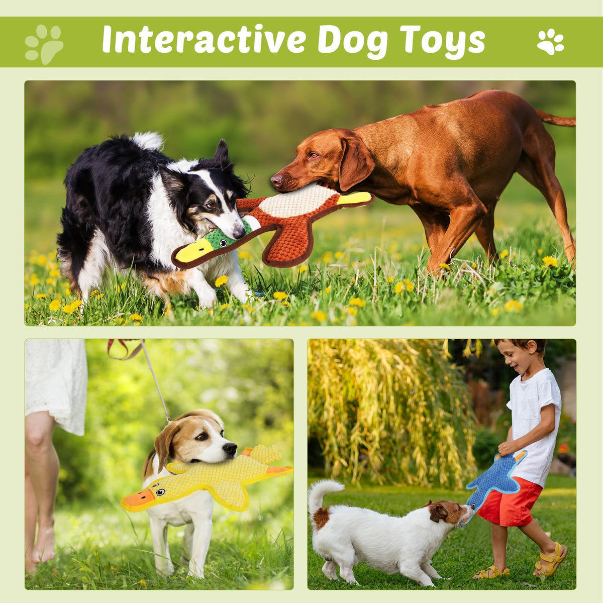 3-Pack No-Stuffing Squeaky Crinkle Dog Chew Toy W363