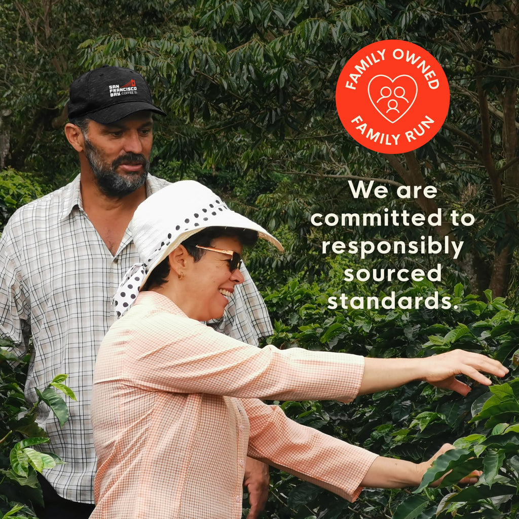 Organic Rainforest Blend K-Cup Compatible Pods, 80 ct Y928