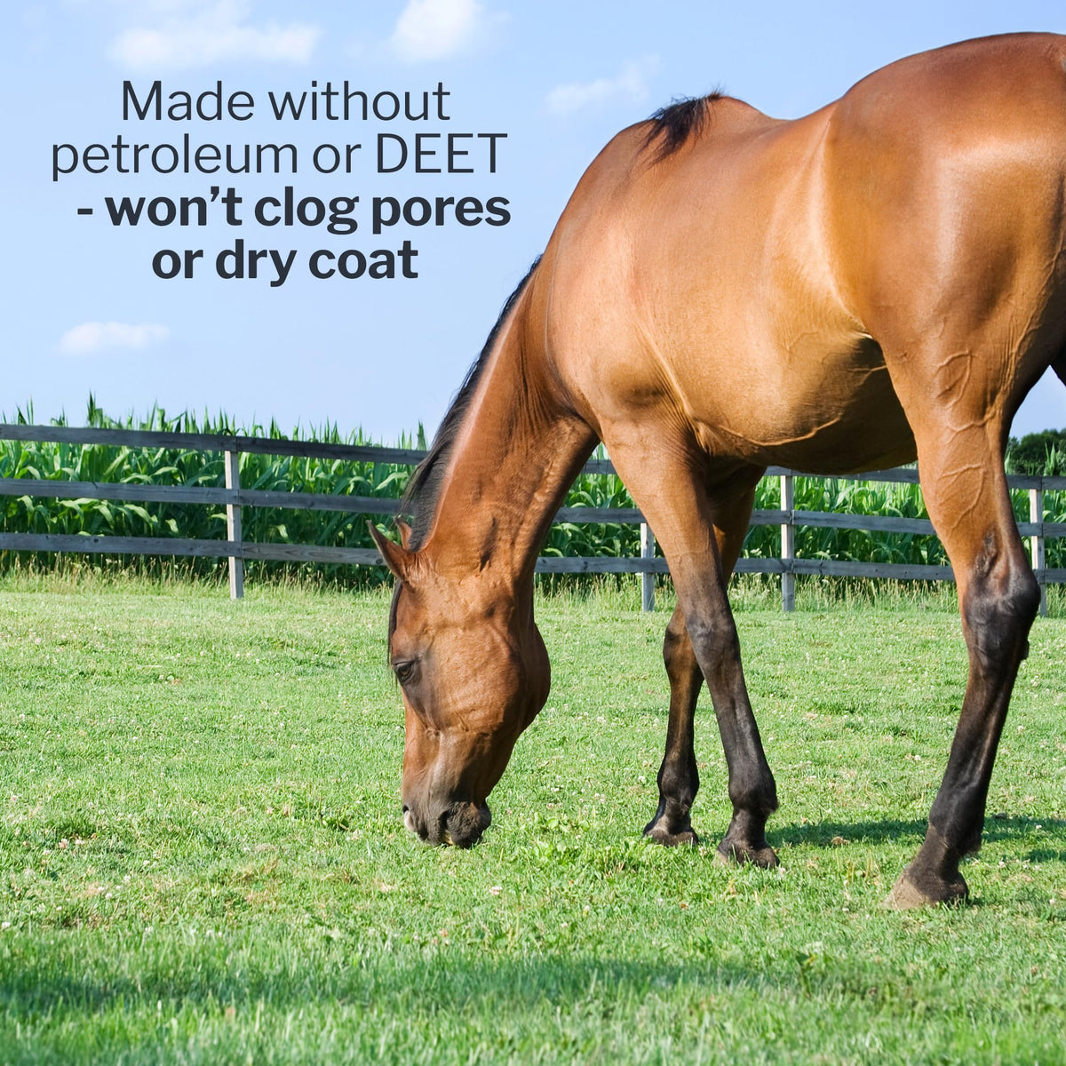 Fly Deny Spray for Horses & Ponies 1 Gallon Y211